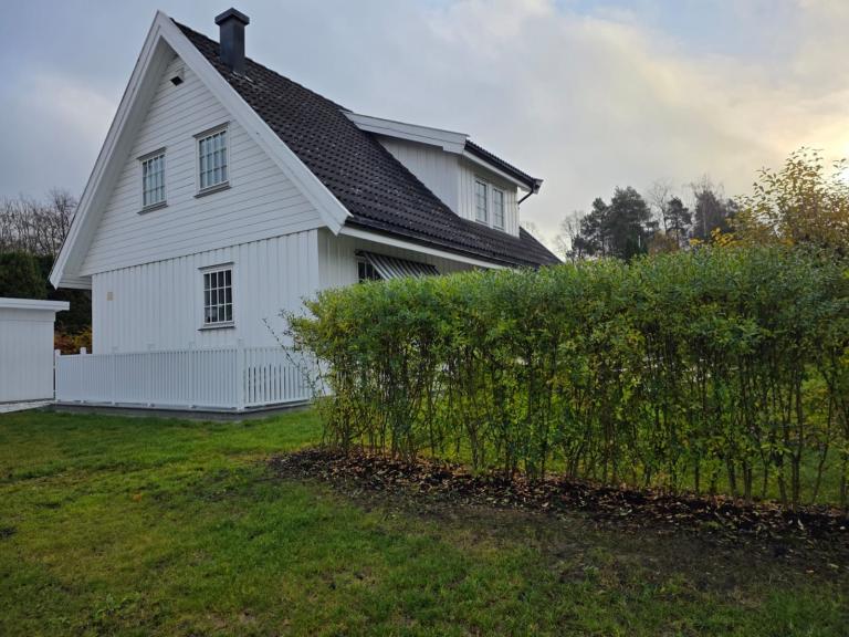 1363 HØVIK Johs Faales vei 46